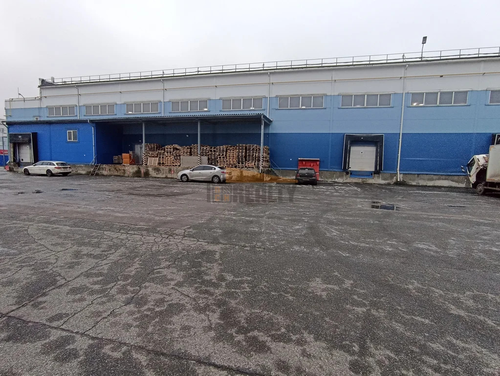 Аренда склада, Востряково, Домодедово г. о., Триколор тер. - Фото 2