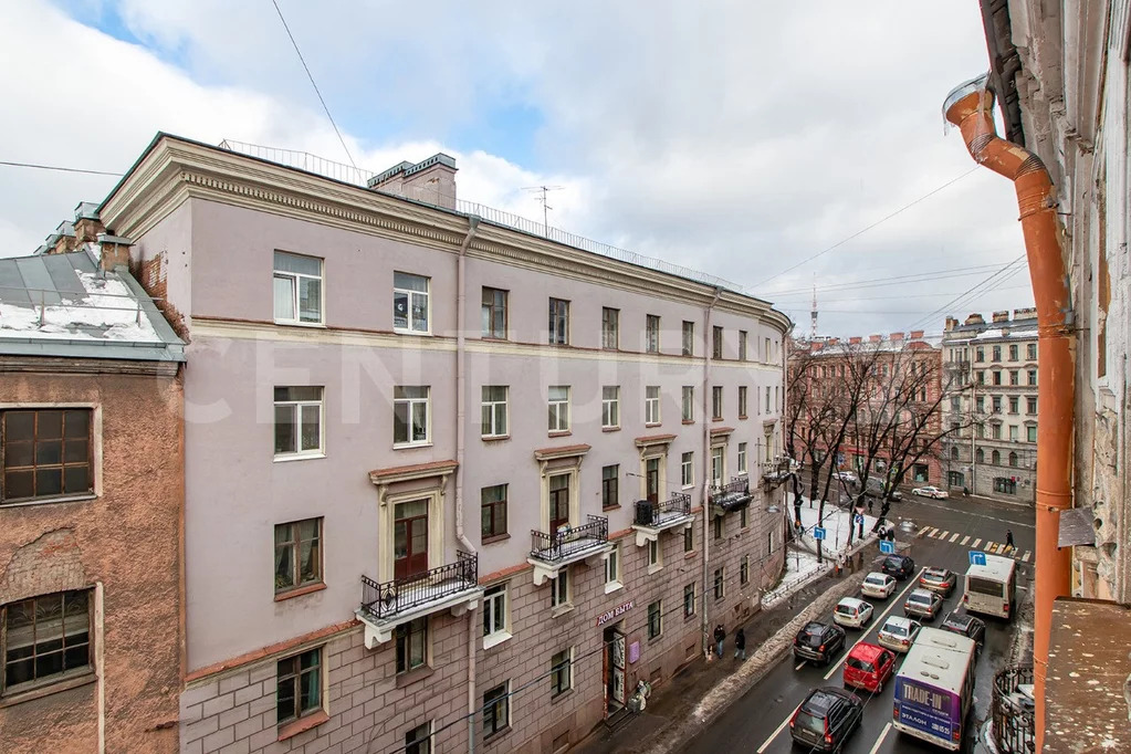 Продажа комнаты, м. Петроградская, Большая Пушкарская ул. - Фото 10