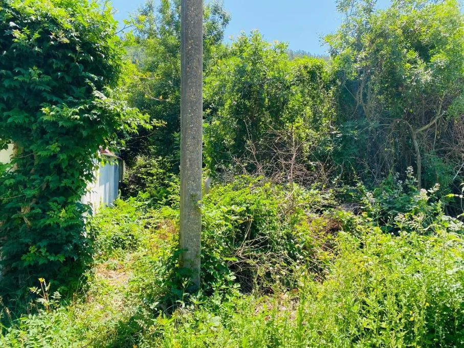 Продажа участка, Геленджик - Фото 7