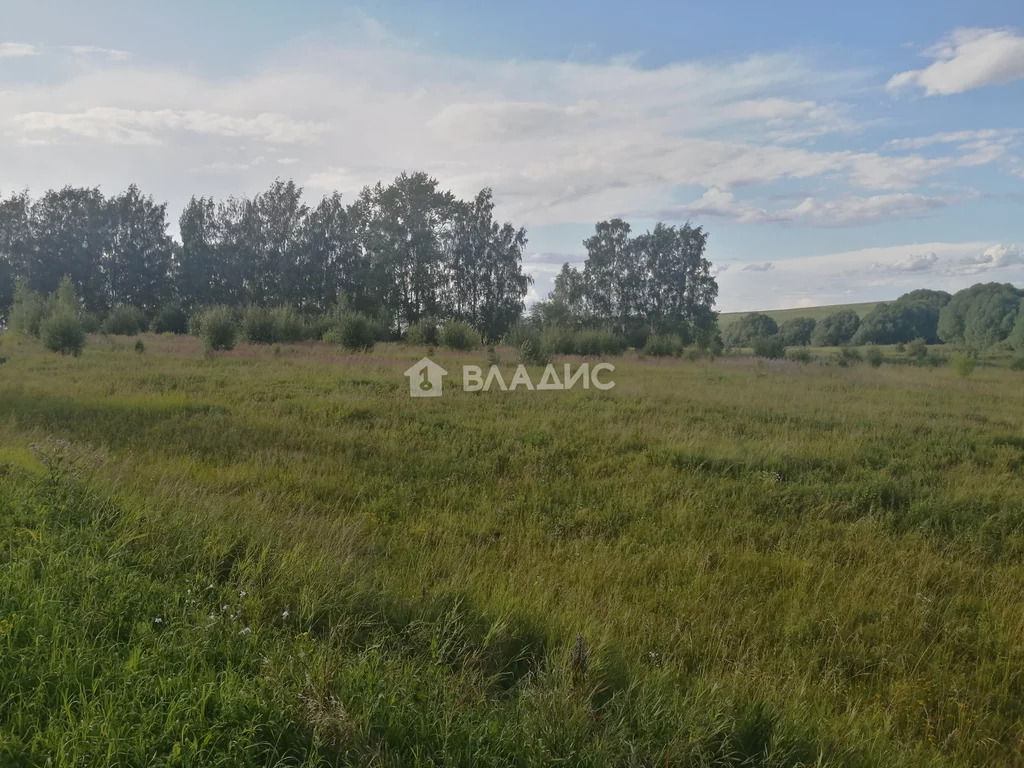 Суздальский район, село Брутово,  земля на продажу - Фото 5