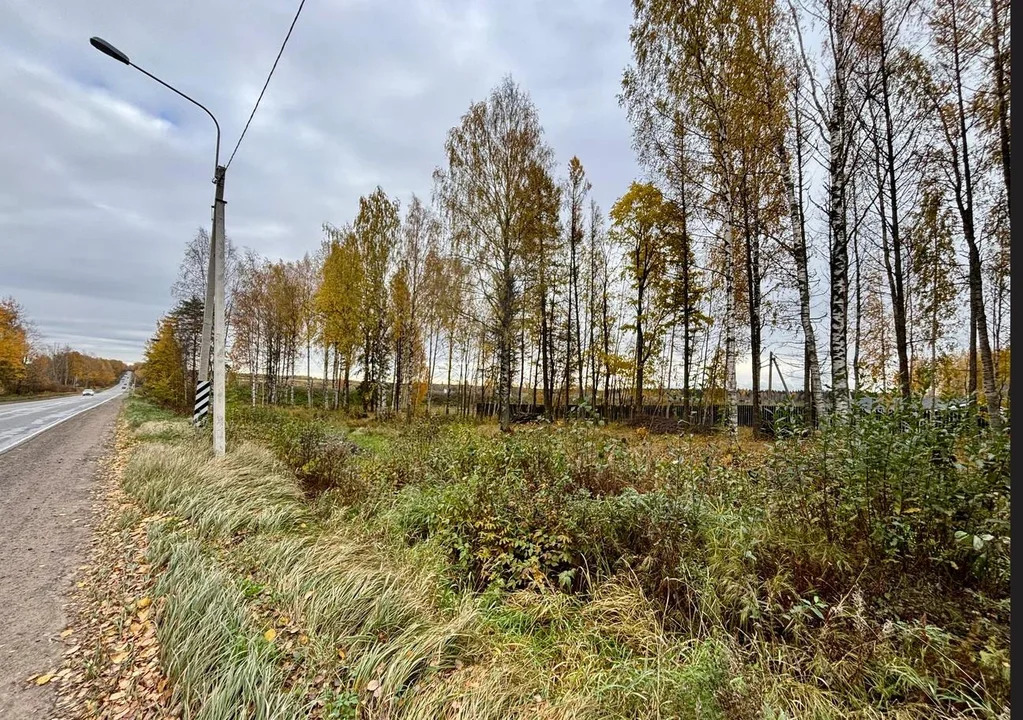 УЧАСТОК 6.9 Сот. с коммуникациями на первой линии трассы Скандинавия! - Фото 1