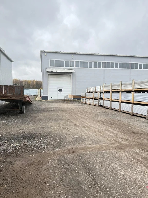 Аренда производственного помещения, Константиновское, Ступинский ... - Фото 2