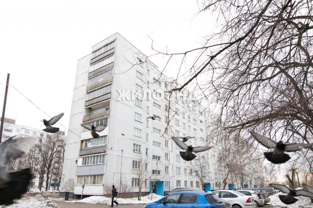 Продажа квартиры, Новосибирск, ул. Макаренко - Фото 12