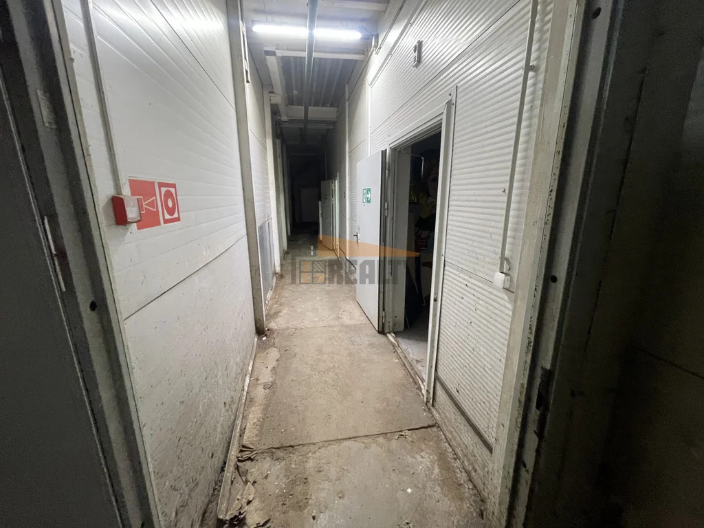 Аренда производственного помещения, Алешино, Пушкинский район - Фото 8