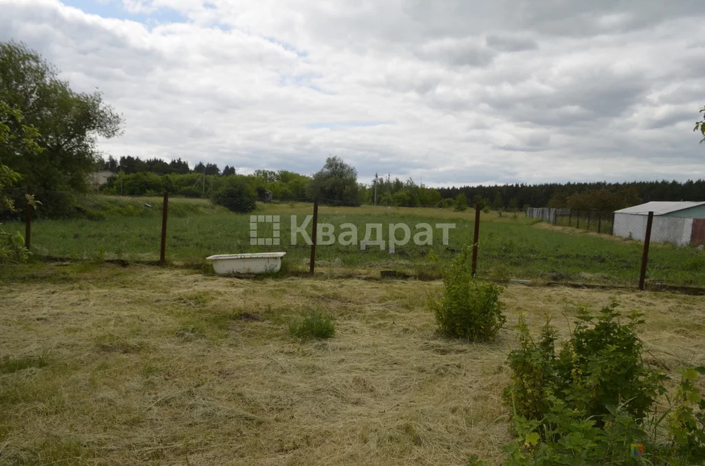 Продам родовую усадьбу - Фото 4