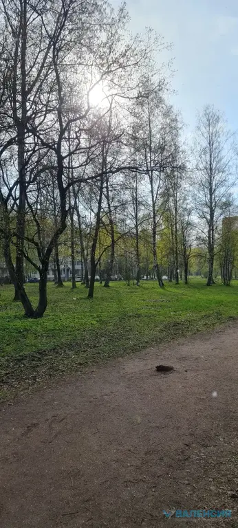 Сдается в аренду 1 к.кв. 36,7м2 на 7эт, ул. Карпинского, д.34, к.2. - Фото 25