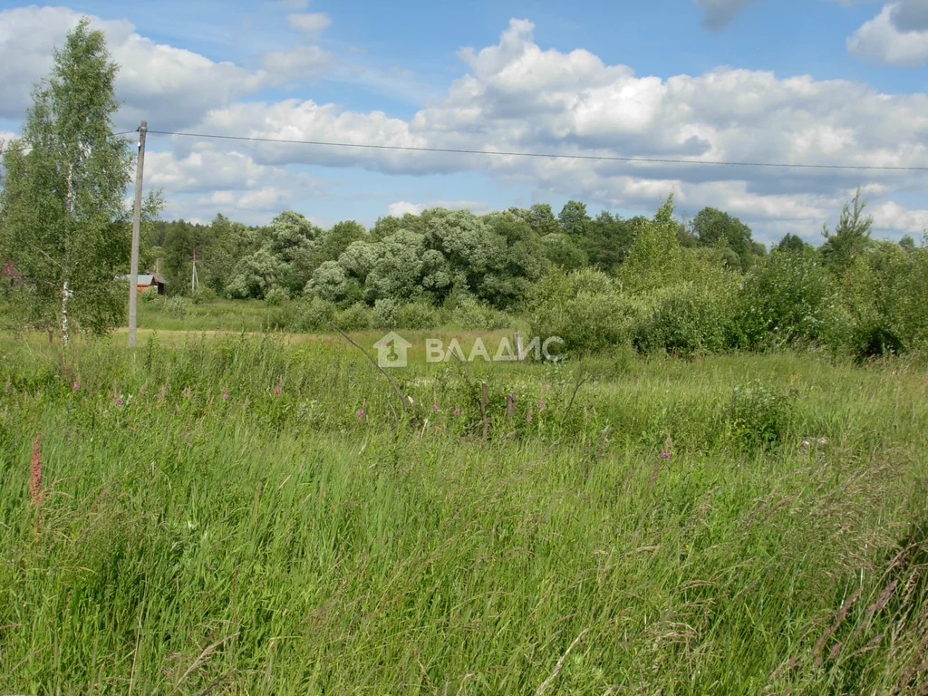 Судогодский район, деревня Кудрявцево,  земля на продажу - Фото 2