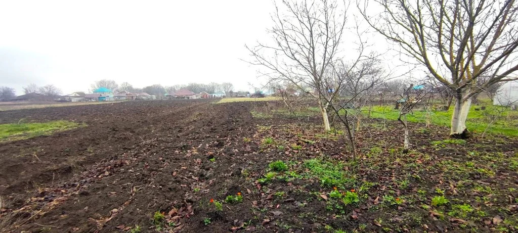 Продажа участка, Экономическое, Крымский район, ул. Заречная - Фото 2