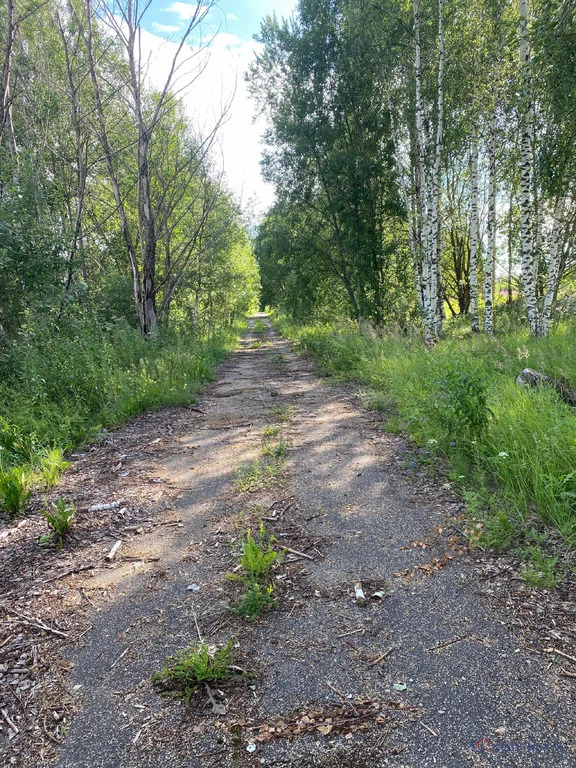 Продажа участка, Михайловское, Волоколамский район - Фото 2