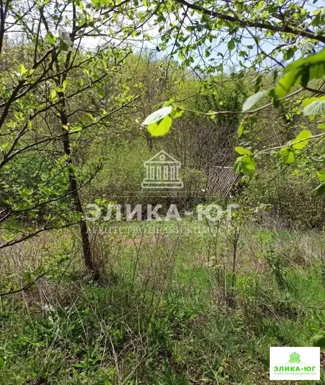 Продажа участка, Пляхо, Туапсинский район, ул. Лесная - Фото 5