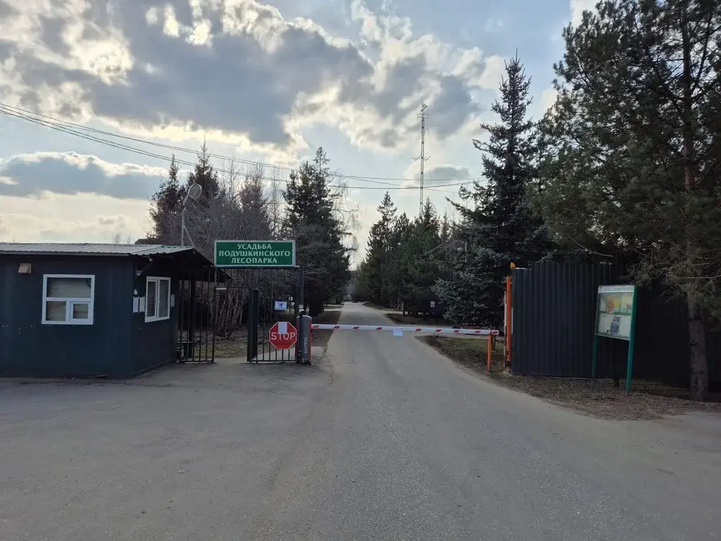 Сосновый участок в Подушкино с панорамными видами на Рублевке - Фото 10