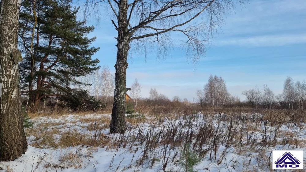 Погода бубново раменский