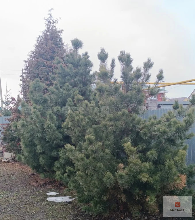 Продажа дома, Калинино, Высокогорский район, ул. Озерная - Фото 19