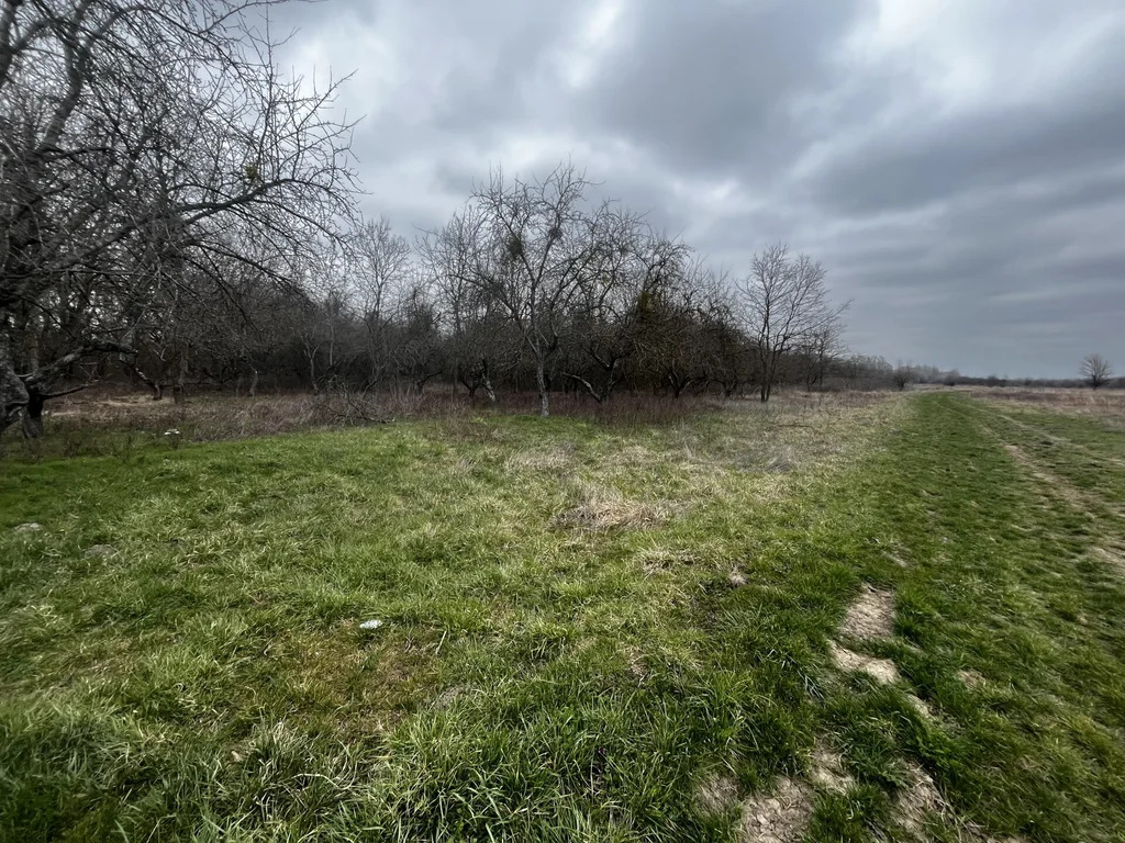 Продажа участка, Смоленская, Северский район - Фото 6