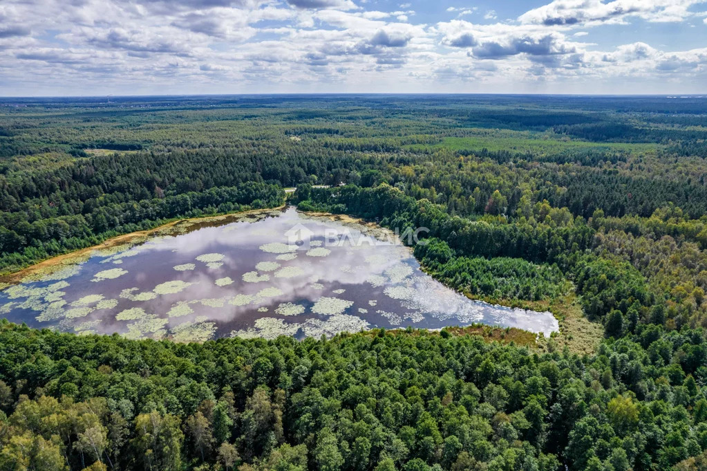 Земельный участок на продажу, городской округ Павловский Посад, ... - Фото 5