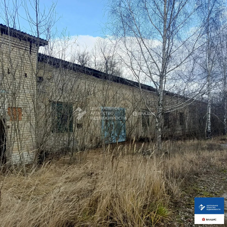 Продажа производственного помещения, Победное, Скопинский район, ... - Фото 4