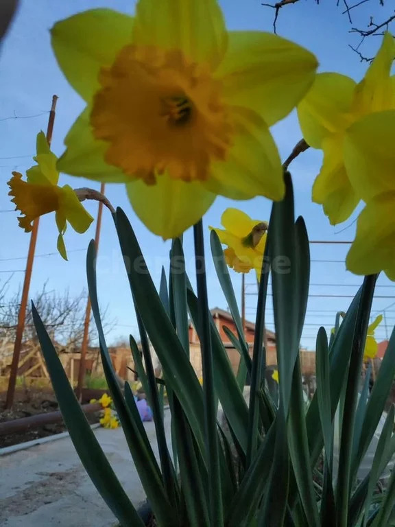 Продажа участка, Севастополь, территория СТ Сапун-гора - Фото 9