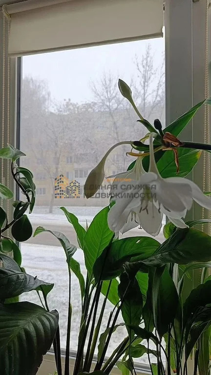 Аренда квартиры, Уфа, ул. Кремлевская - Фото 13