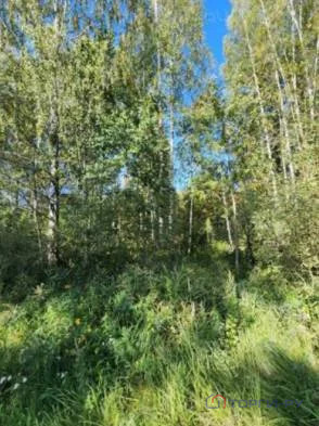 Продажа земельного участка, Раменский район, с/п Новохаритоновское - Фото 0