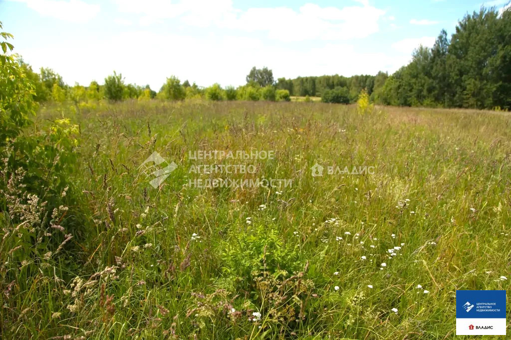 Продажа дома, Данево, Касимовский район - Фото 10