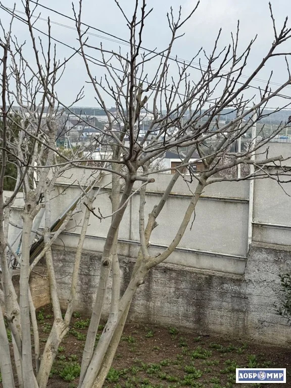 Продается Дом - Фото 25