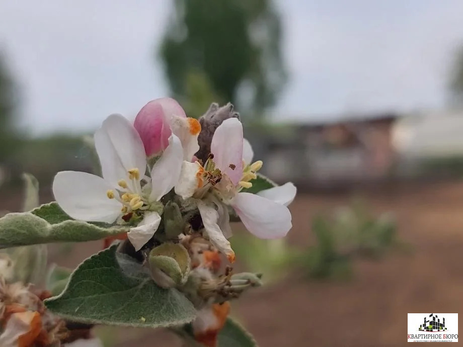 Продажа участка, Березовский район, 3-я Северная улица - Фото 0