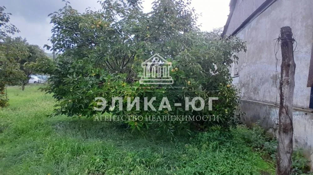 Продажа дома, Тенгинка, Туапсинский район, Набережная ул. - Фото 16