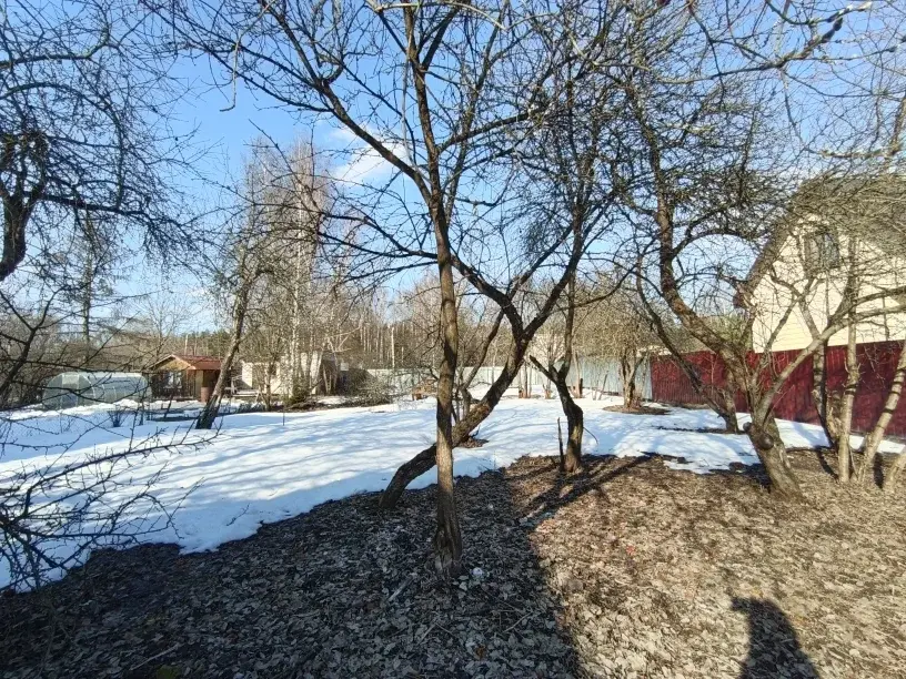 Продаю дачу в с. Покровское - Фото 8