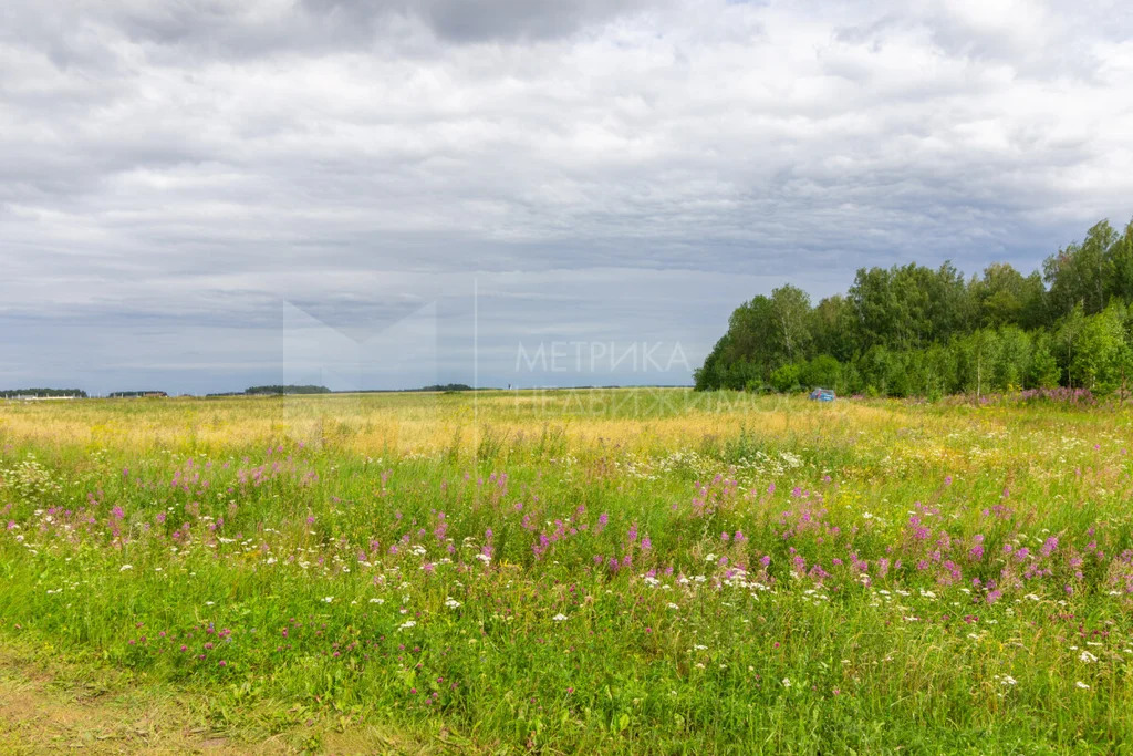 Продажа земельного участка, Тюменский район, Тюменский р-н - Фото 9