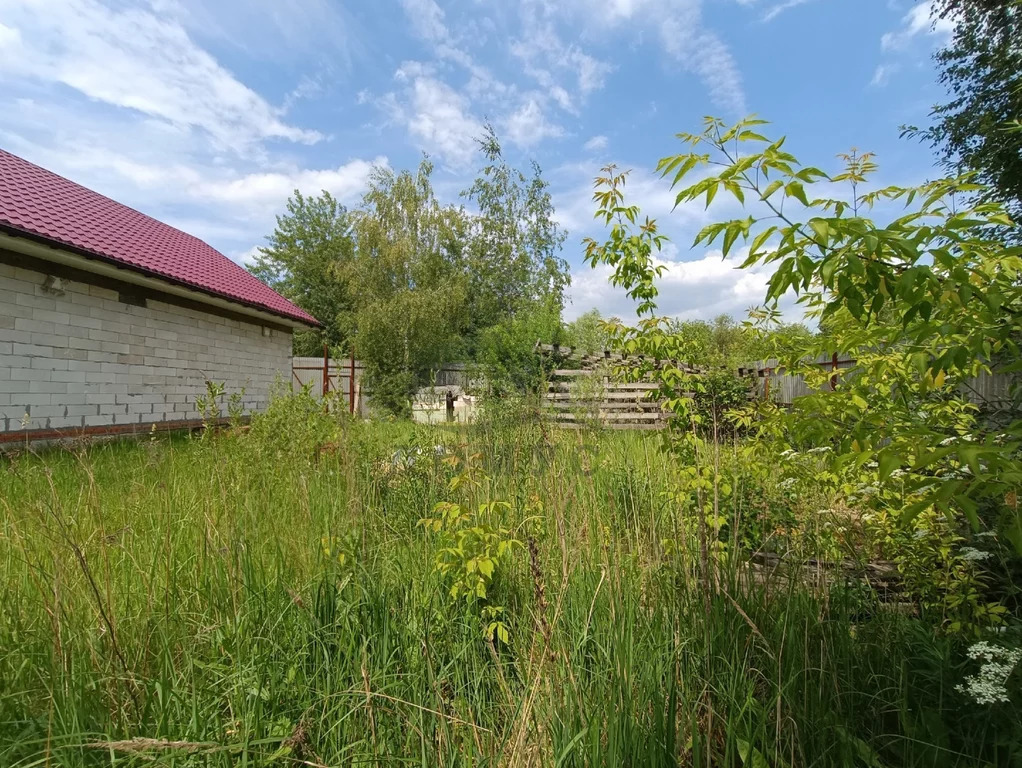 Продажа торгового помещения, Дурниха, Раменский район, Дурниха д. - Фото 6