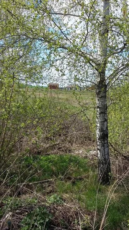 Пуляевка белгородская область на карте. Пуляевка Белгородский район. Пуляевка Белгородский район на карте. Пуляевка Белгородский район фото.