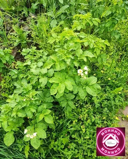 Продам дачу. - Фото 13