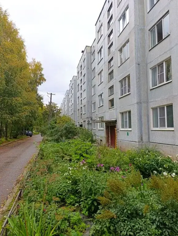 Уютная 1к. квартира с большой кухней - Фото 1