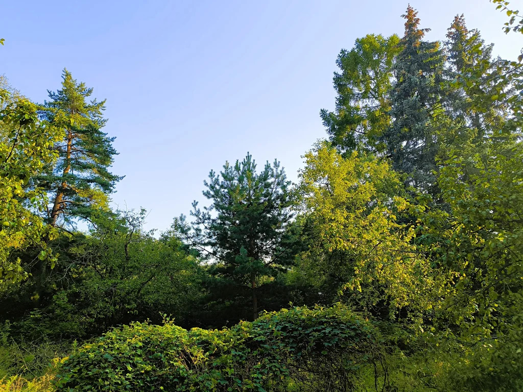 Продажа участка, Загорянский, Щелковский район, ул. Наречная - Фото 3