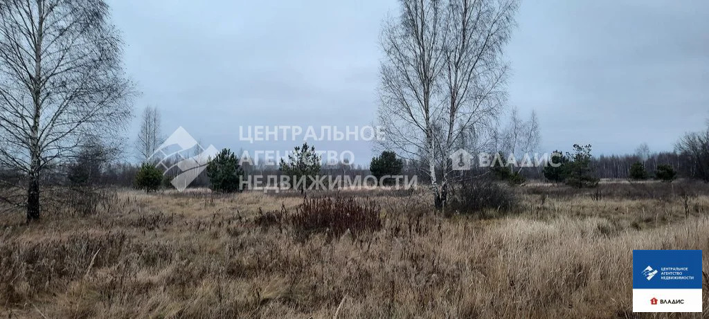 Продажа участка, Рязанский район - Фото 7