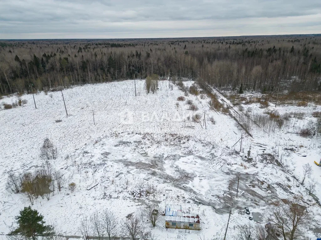 Тосненский район, посёлок Бабино,  земля на продажу - Фото 14