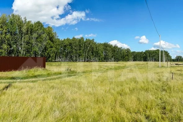 Купить Участок В Поселке Омский