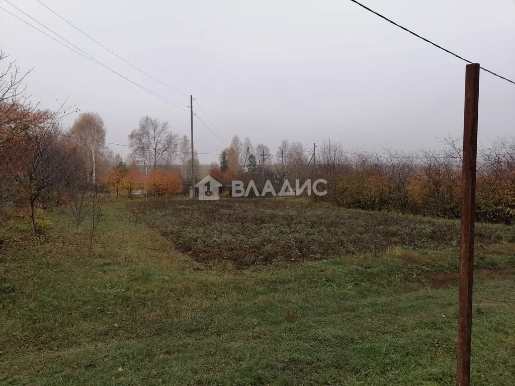 Суздальский район, село Новоалександрово, земля на продажу - Фото 3