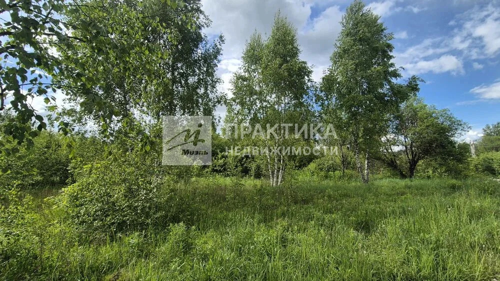 Продажа участка, Ивантиново, Серпуховский район - Фото 4