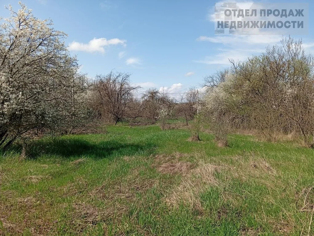 Участок на Озерках - Фото 1