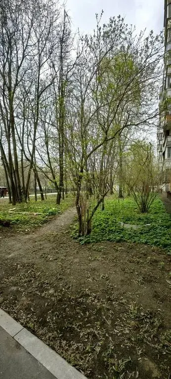 1-ка, Молостовых, 4к2 - Фото 20