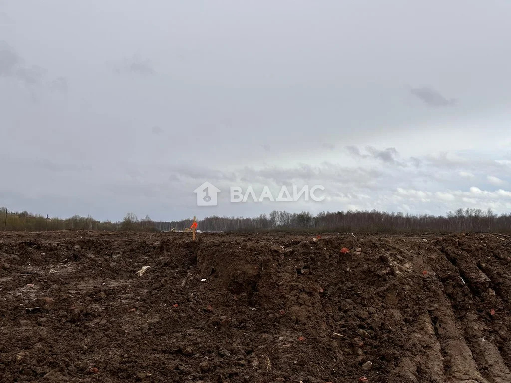 городской округ Мытищи, деревня Протасово,  земля на продажу - Фото 3