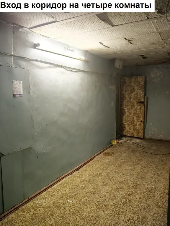продажа 4/5 долей в комнате - Фото 10