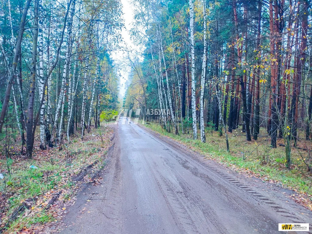 Продажа участка, Богородский г. о., коттеджный посёлок Восточная ... - Фото 9