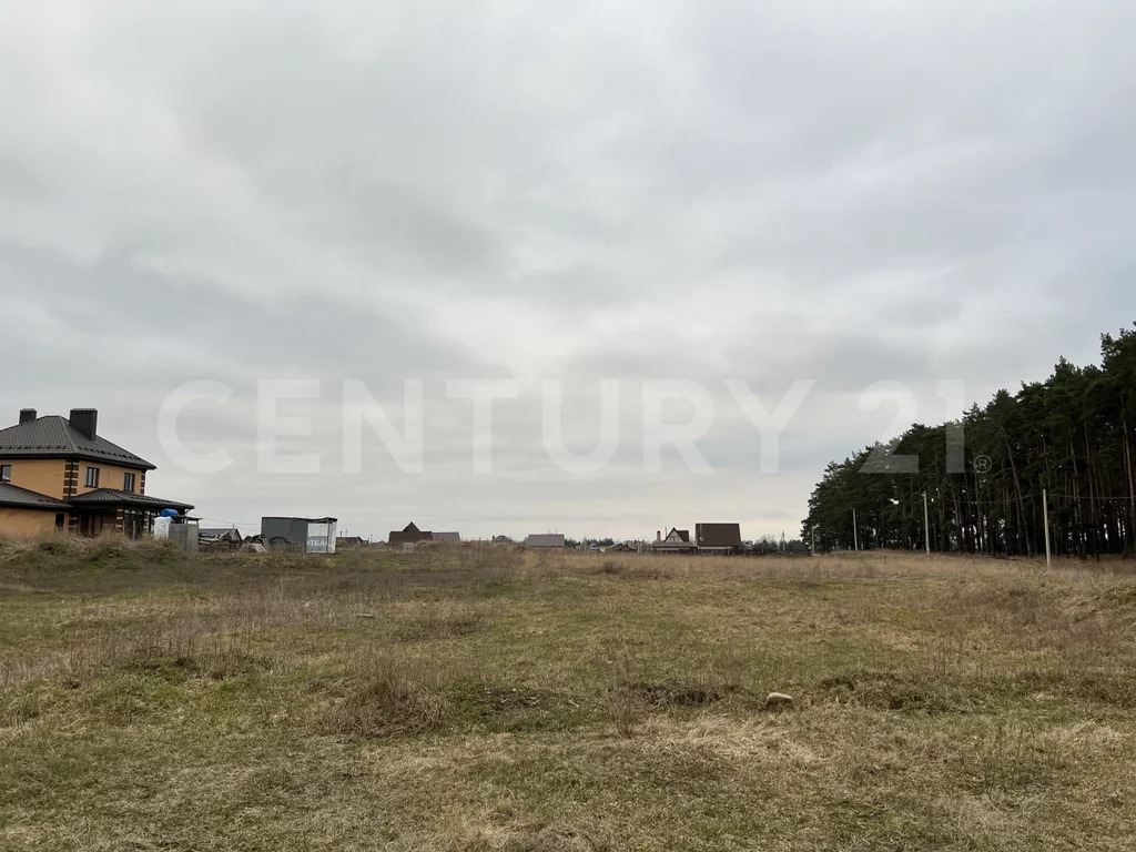 Продажа участка, Кореневщино, Добровский район, Набережная ул. - Фото 9
