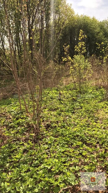 Продажа участка, Тихий Плес, Верхнеуслонский район, дом 132 - Фото 2