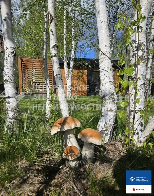 Продажа участка, Рязанский район, садоводческое товарищество ... - Фото 10