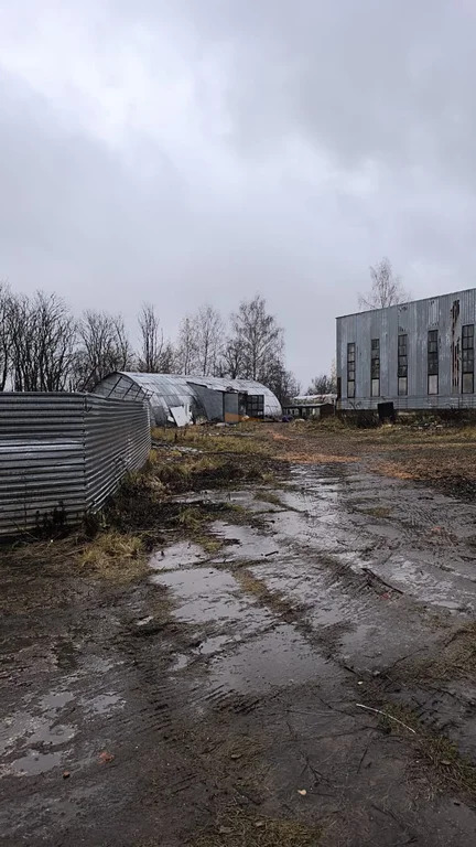 Аренда производственного помещения, Истра, Истринский район, ул. ... - Фото 4