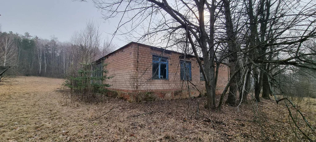 База отдыха "Лесные дали" - Фото 19