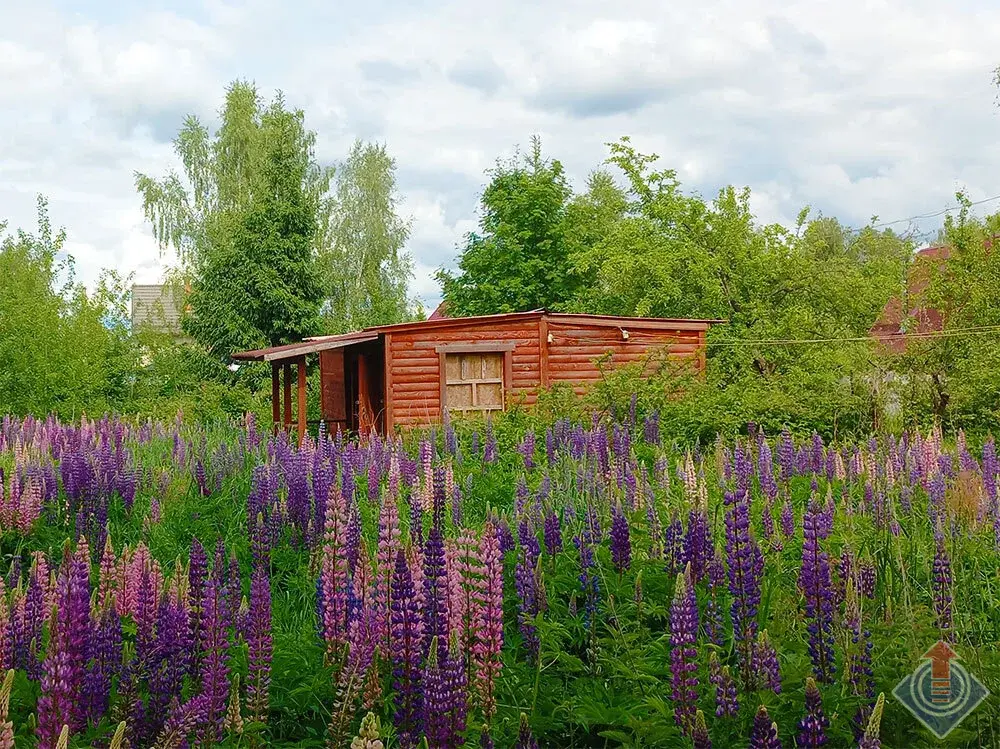 Продажа лесной дачи на 10 сот. в СНТ Порядино, Наро-Фоминский район - Фото 19